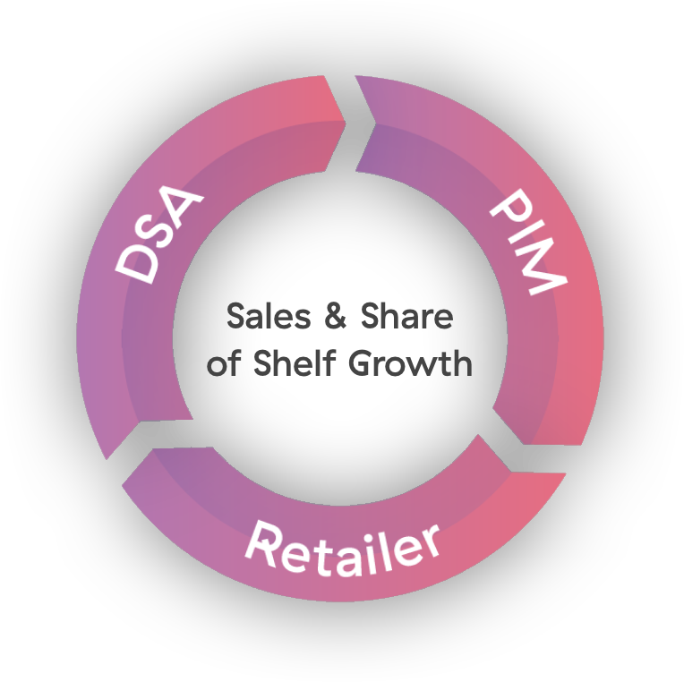 The relation between PIM DSA and Retailer image